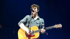 Shawn Mendes Concert Review & Rules for Concert Goers